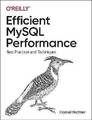 Effiziente MySQL-Leistung, Daniel Ritter, Pape