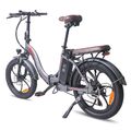 Klapprad e Bike 18AH 20 Zoll Elektrofahrrad Pedelec e Fatbike FAFREES F20 PRO