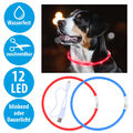 LED Hundehalsband blinkend USB Leuchthalsband XS XL für Hund leuchtend mit Licht