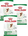 (€ 8,94/kg) Royal Canin Mini Adult S - Hundefutter für kleine Hunde - 3 x 2 kg