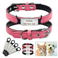 Personalisiert Hundehalsband Welpe Katzenhalsband mit Gravur Namensschild 2XS-S