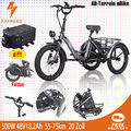 FAFREES 500W 20 Zoll Cargo 3-Rad Elektrofahrrad E-Bike Elektro Dreirad Faltbar