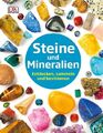 Steine und Mineralien ZUSTAND SEHR GUT