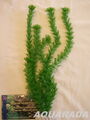 Egeria Densa 40cm Künstliche Aquarium Pflanze Wasserpflanzen Terrariumpflanze