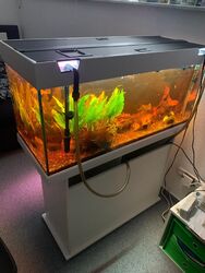 aquarium komplett mit unterschrank gebraucht