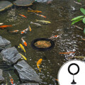  Futterring Für Aquarien Fischfutterautomat Fischnetz Futterspender