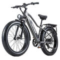 Elektrofahrrad BURCHDA RX20 26 ZOLL E-Mountainbike 800W 20ah E-Bike MTB 45KM/H