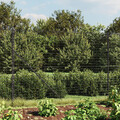 Maschendrahtzaun mit Bodenhülsen Gartenzaun Drahtzaun Gitterzaun Zaun vidaXL