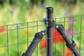 Alberts Fix-Clip Pro Zaun-Komplettset m. Einschlagbodenhülse grün H:122cm L:100m