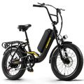 20 Zoll Elektrofahrrad 750W Moped Ebike Trekking E Mountainbike Damen/Herren
