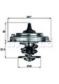 MAHLE Kühlmittel Thermostat Für AUDI 100 Avant A6 S6 93-05 077121113B