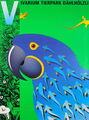 97219 Vivarium Tierpark Berlin Zoo Parrot German Wall Print Poster Plakat