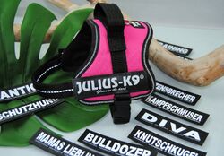 Julius-K9 Powergeschirr Fuchsia Gr.Mini-Mini + 10 Stück Klettlogos GRATIS