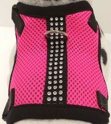 Softgeschirr  Brustgeschirr Hundegeschirr  XS-M Welpen  Chihuahua Pink Neon Mesh