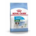 Hundefutter Royal Canin Mini Puppy Welpe/Junior Reise Vögel 4 Kg