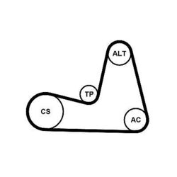 Continental Ctam Keilrippenriemensatz 7Pk1035K1 für Renault Wind + Clio IV 05->