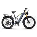 E-bike 26 Zoll Elektrofahrrad 1000W E Mountainbike 48V 20Ah Akku Trekking ebike