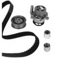 METELLI Wasserpumpe + Zahnriemensatz für VW Golf V 1K1 5K1 1F7 1F8 Skoda