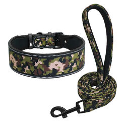 Große Gepolsterte Hundehalsband und Leine für Labrador Pitbull 5 Farben S/M/L/XL