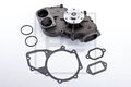 Wasserpumpe 010.702-00A PE Automotive für MAN MERCEDES-BENZ RENAULT AUSTIN FORD