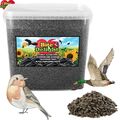 Sonnenblumenkerne Schwarz für Vögel Körner Winterfutter wildvogelfutter