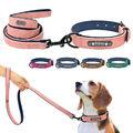 Hundehalsband mit Namen Personalisiert Katze Hund Halsband mit Hundeleine Leder 