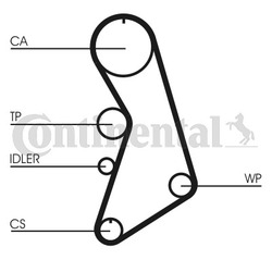 CONTINENTAL CTAM (CT909K2) Zahnriemensatz für AUDI SEAT SKODA VW