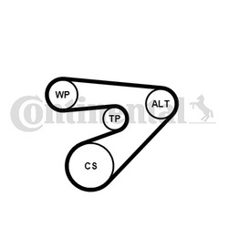 CONTINENTAL CTAM (6PK1453K2) Keilrippenriemensatz für SEAT SKODA VW