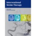 Interventional Stroke Therapy - Olav Jansen, Hartmut Brückmann, Gebunden