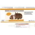 Rodicare Hairball Susp.f.Meerschw./Zwergkaninchen 3X12 ml