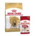 ROYAL CANIN French Bulldog Adult 3kg + Medium Adult in Soße 10x140g