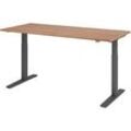 HAMMERBACHER XMKA19 elektrisch höhenverstellbarer Schreibtisch nussbaum rechteckig, C-Fuß-Gestell grau 180,0 x 80,0 cm