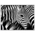 PAPERFLOW Wandbild Zebra