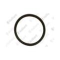 Vaillant Dichtung EPDM DN 80 x 8 mm 981252 981252