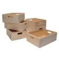 Holz Kiste Allzweck Box 6-Stück Kiefer 40x30x14 cm KYNAST