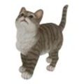My Flair Katze, grau/weiß gestreift