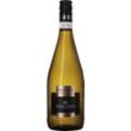 Colli del Soligo Prosecco Vino Frizzante DOC Treviso Extra Dry