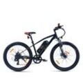 SachsenRAD E-Racing Mountain Bike R6 500Wh 13,4Ah E-Bike 26"