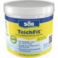 Söll TeichFit® 500 g Teichpflege