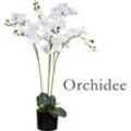 Decovego - Künstliche Orchidee Kunstpflanze Künstliche Pflanze Kunstblume Innendekoration Kunst Pflanze wie echt im Topf Auswahl