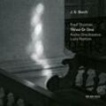 J.S. Bach: Three Or One - Transcriptions by Fred Thomas - Fred Thomas, Aisha Orazbayeva, Lucy Railton. (CD)