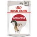 ROYAL CANIN INSTINCTIVE Katzenfutter nass in Soße 48x85g