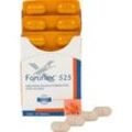 Fortiflex 525 Tabletten vet. 30 St