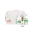 Wella Professionals Travel Set Elements