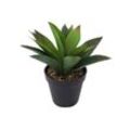 Künstliche Aloe Vera im Topf mit Steindeko Höhe 22 cm Pflanze grün