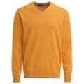 Herren Feinstrickpullover mit V-Ausschnitt