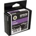 Epson Tinte C13T46SD00 T46SD violet