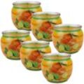 Hs Candle - Duftkerzen Motiv 6er Pack im Glas, lange Brenndauer und angenehmer Duft ( Citrus Fruits ) - Gelb