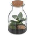 Atmosphera Créateur D'intérieur - Terrarium Bota Glastopf - H19 -5 cm