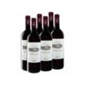 Ornellaia 6 x 0,75-l-Flasche Ornellaia Bolgheri Superiore DOC trocken, Rotwein 2020 - Original-Holzkiste